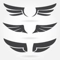 Wings set. Vector illustration of different bird wings